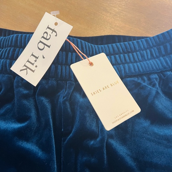 Skies Are Blue Velvet Jogger Pants in Deep Rich Blue - Picture 2 of 4